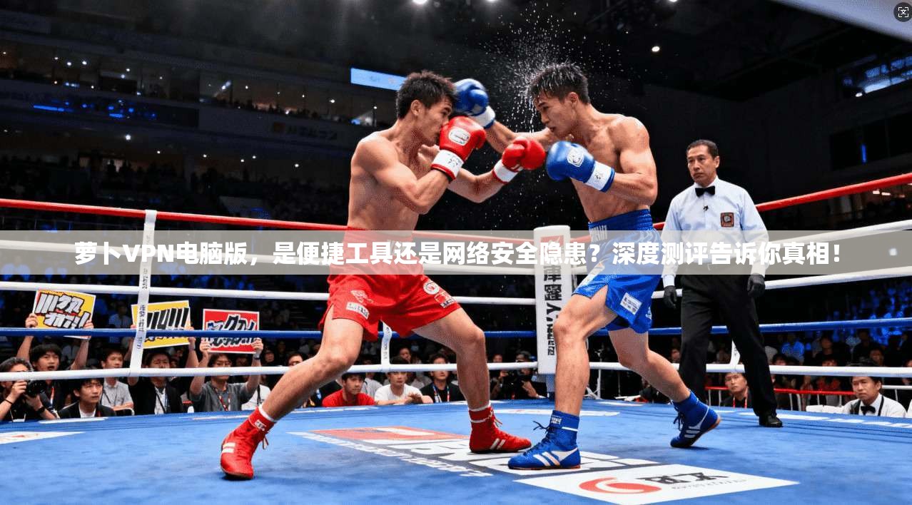 萝卜VPN电脑版,是便捷工具还是网络安全隐患?深度测评告诉你真相!