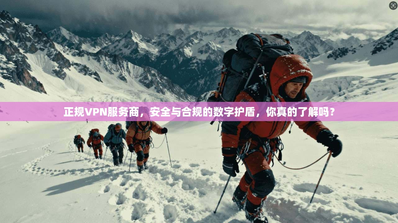 正规VPN服务商，安全与合规的数字护盾，你真的了解吗？