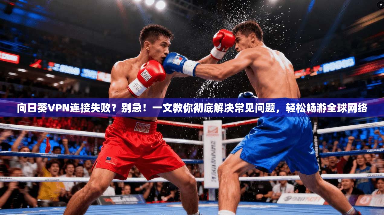 向日葵VPN连接失败？别急！一文教你彻底解决常见问题，轻松畅游全球网络