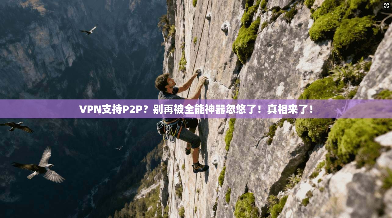 VPN支持P2P?别再被全能神器忽悠了!真相来了!
