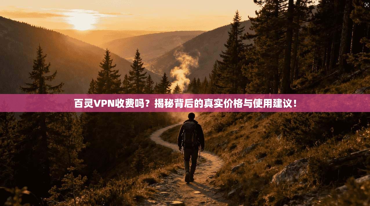 百灵VPN收费吗?揭秘背后的真实价格与使用建议!
