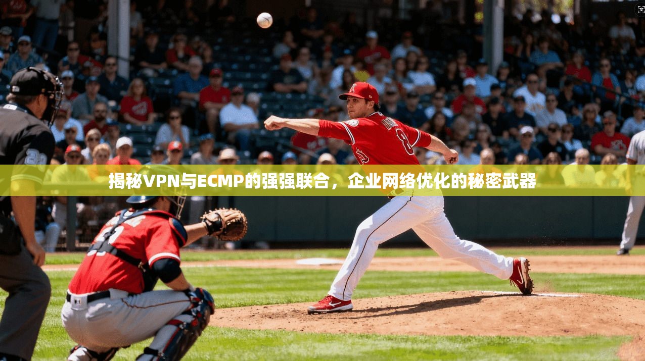 揭秘VPN与ECMP的强强联合,企业网络优化的秘密武器