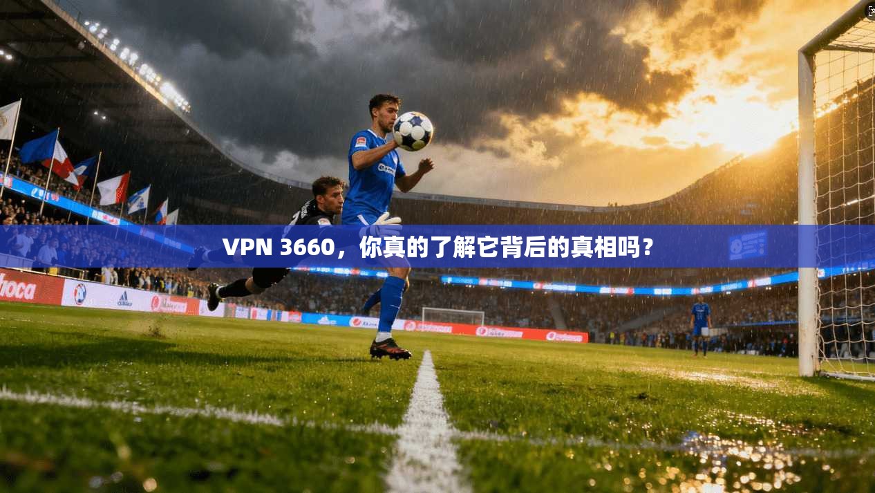 VPN 3660，你真的了解它背后的真相吗？