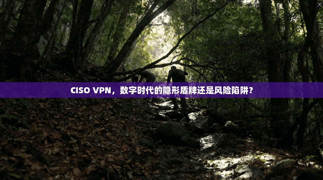 CISO VPN,数字时代的隐形盾牌还是风险陷阱?