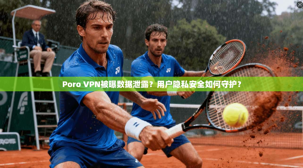 Poro VPN被曝数据泄露？用户隐私安全如何守护？