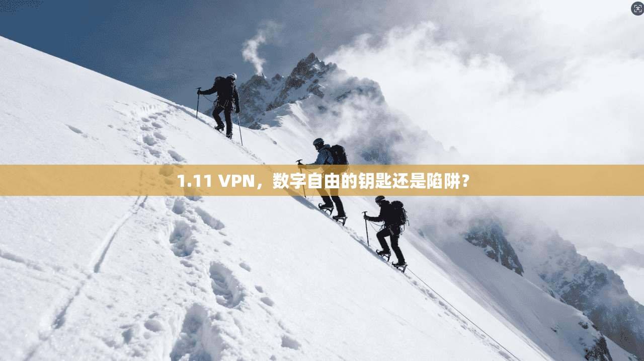 1.11 VPN，数字自由的钥匙还是陷阱？