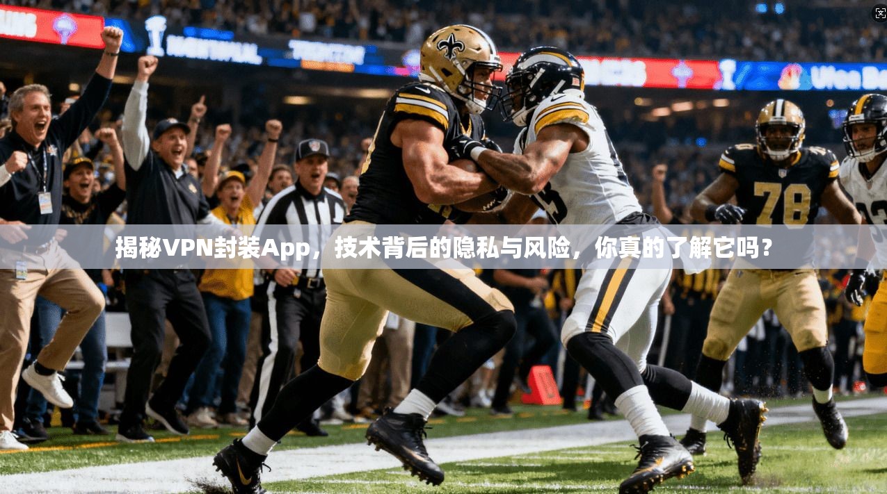 揭秘VPN封装App，技术背后的隐私与风险，你真的了解它吗？