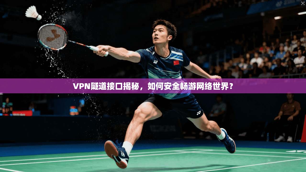 VPN隧道接口揭秘,如何安全畅游网络世界?