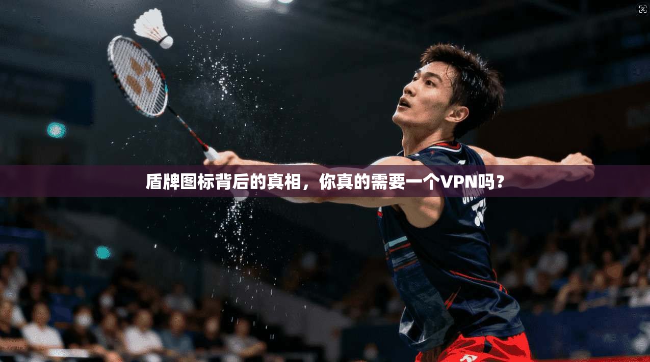 盾牌图标背后的真相,你真的需要一个VPN吗?