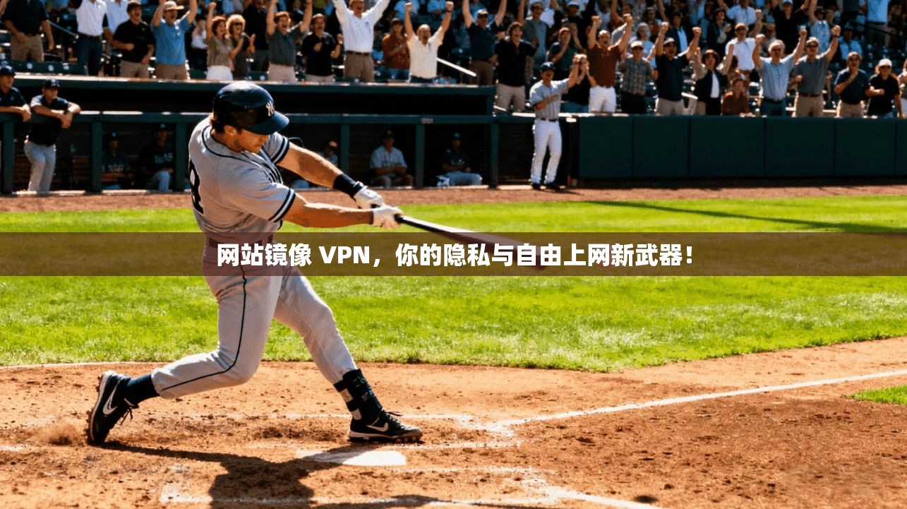 网站镜像 VPN，你的隐私与自由上网新武器！