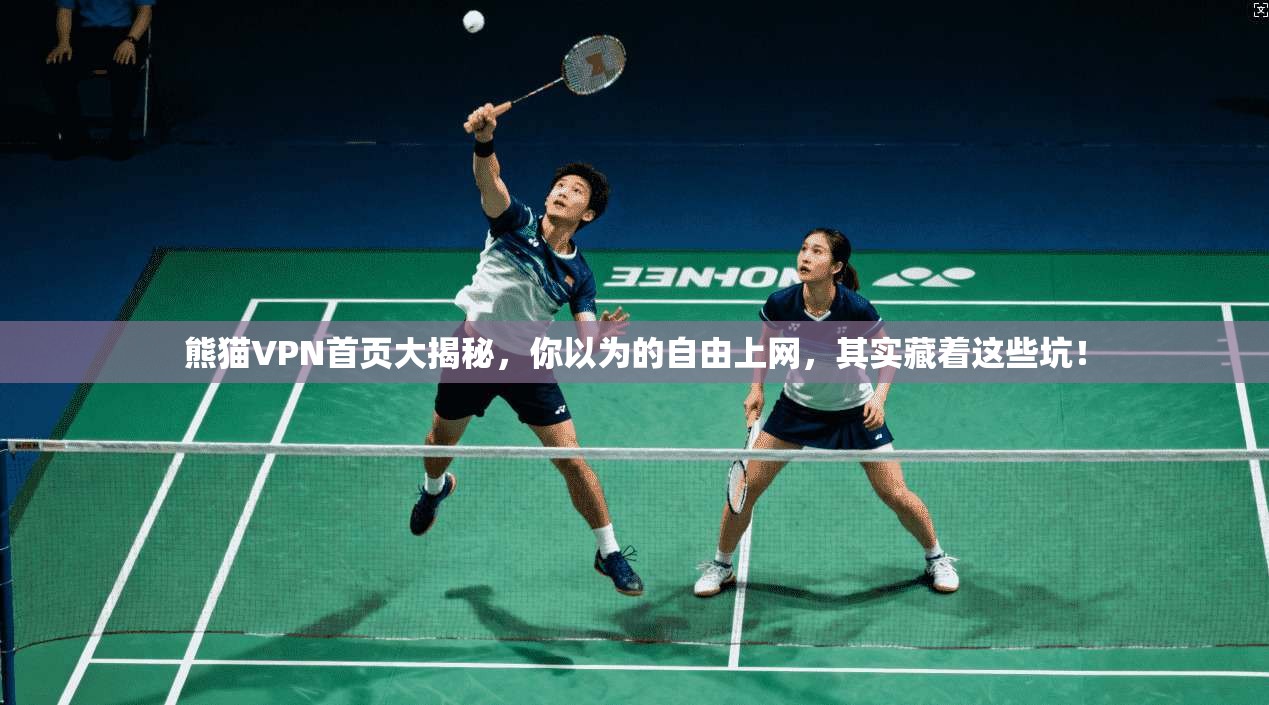 熊猫VPN首页大揭秘,你以为的自由上网,其实藏着这些坑!