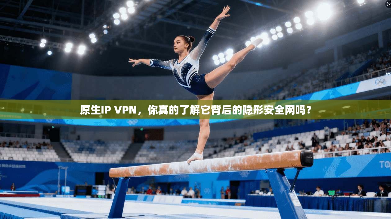 原生IP VPN,你真的了解它背后的隐形安全网吗?