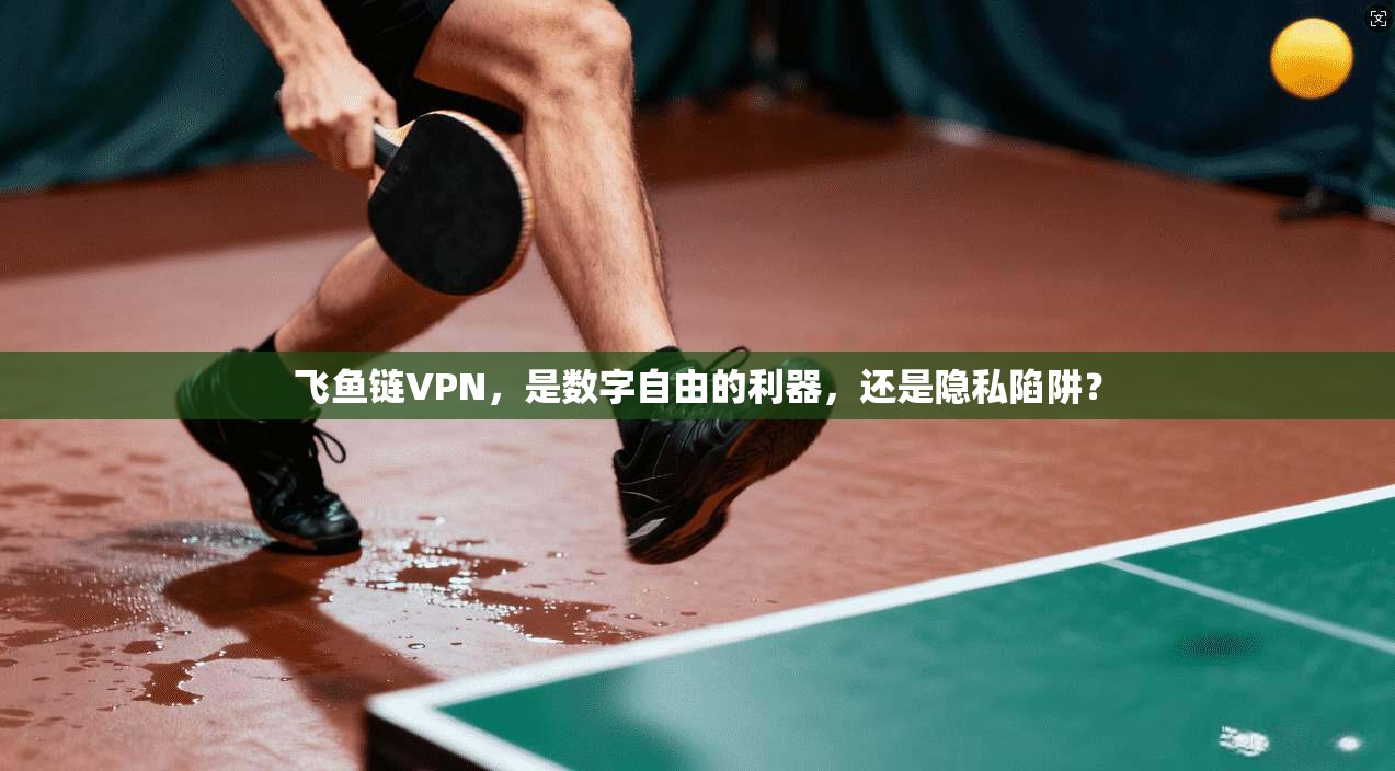 飞鱼链VPN,是数字自由的利器,还是隐私陷阱?