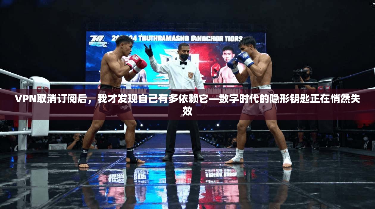 VPN取消订阅后，我才发现自己有多依赖它—数字时代的隐形钥匙正在悄然失效