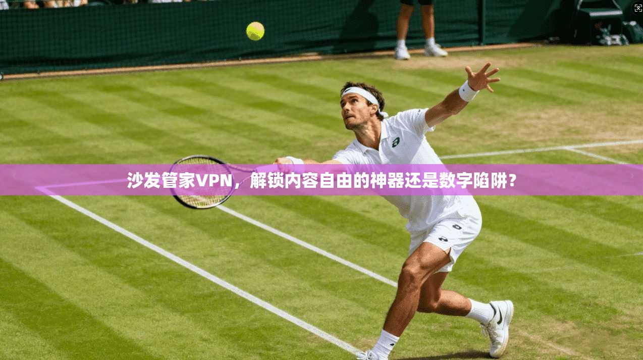 沙发管家VPN，解锁内容自由的神器还是数字陷阱？