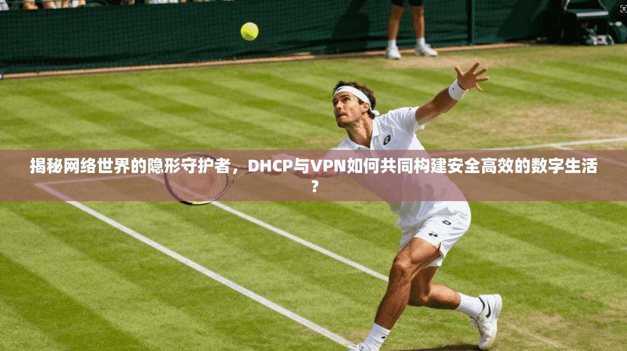 揭秘网络世界的隐形守护者，DHCP与VPN如何共同构建安全高效的数字生活？