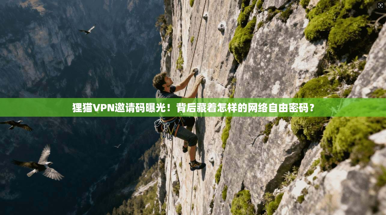 狸猫VPN邀请码曝光！背后藏着怎样的网络自由密码？