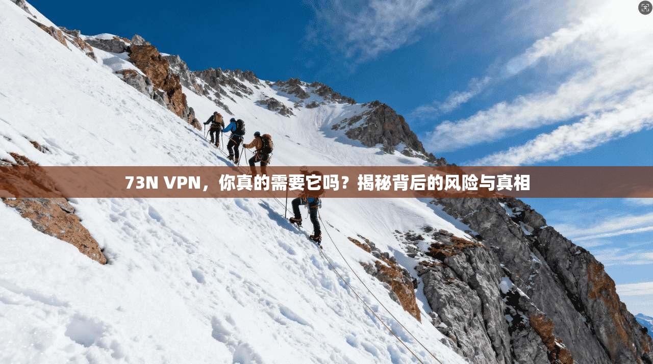 73N VPN，你真的需要它吗？揭秘背后的风险与真相