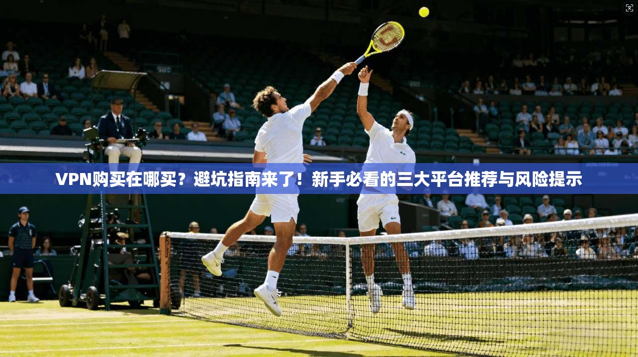 VPN购买在哪买？避坑指南来了！新手必看的三大平台推荐与风险提示