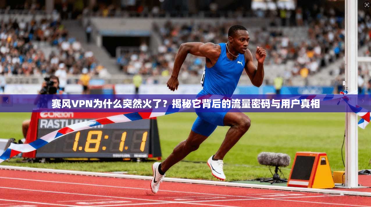 赛风VPN为什么突然火了？揭秘它背后的流量密码与用户真相