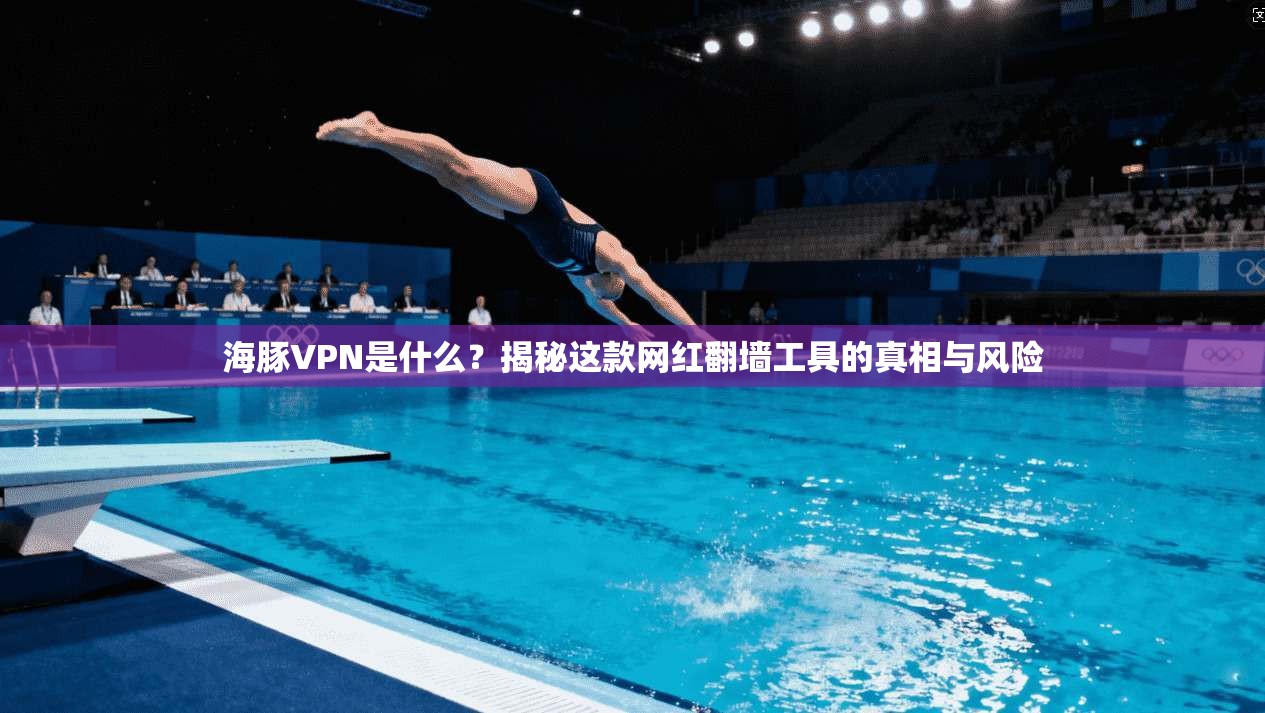 海豚VPN是什么？揭秘这款网红翻墙工具的真相与风险