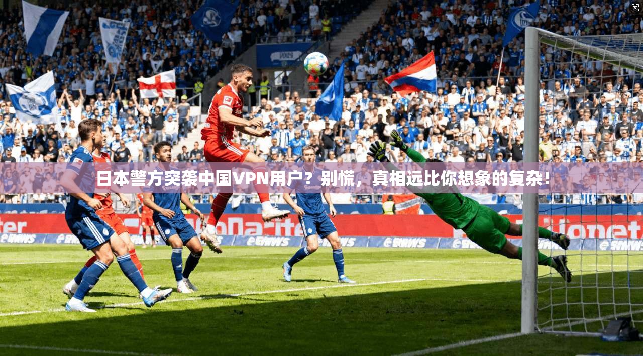 日本警方突袭中国VPN用户?别慌,真相远比你想象的复杂!