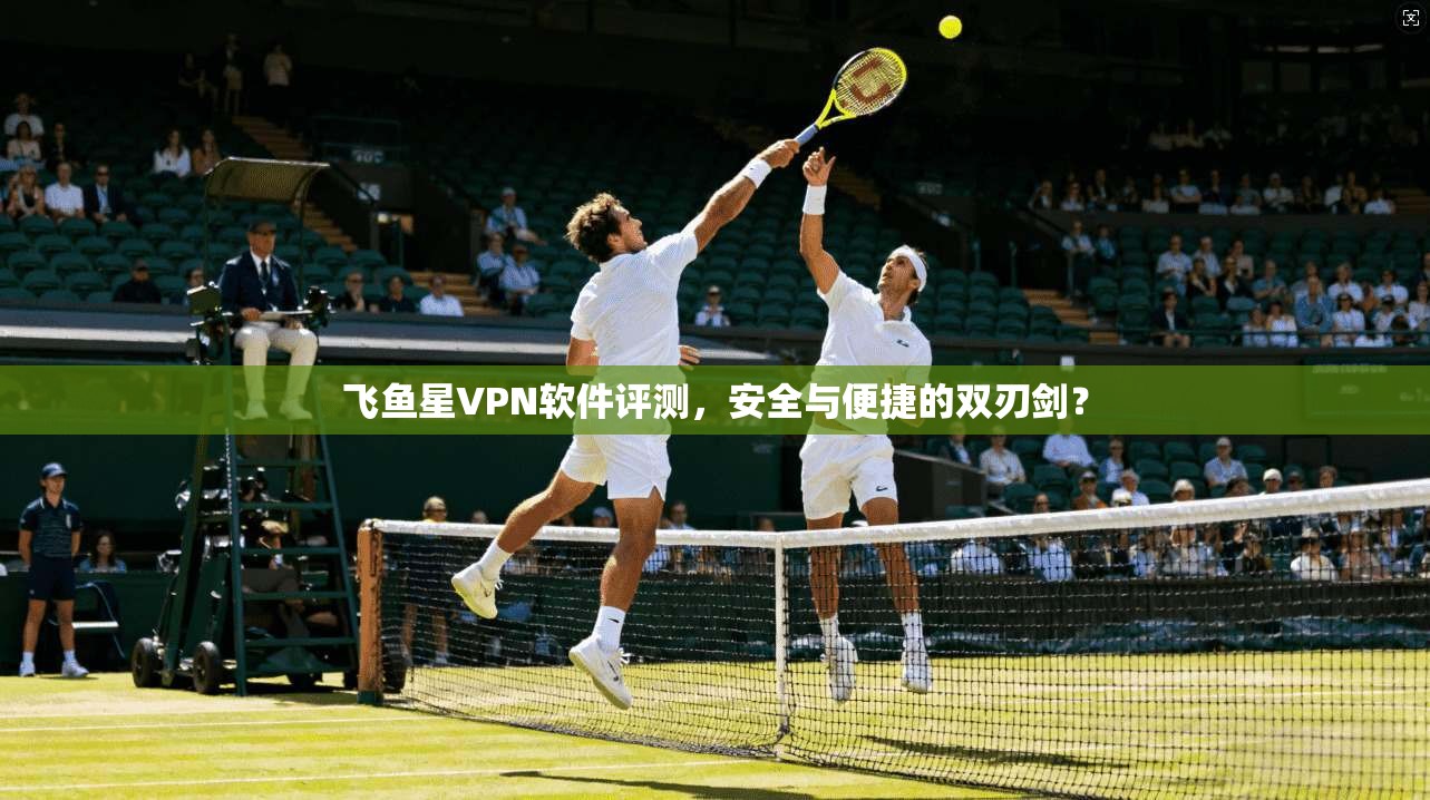 飞鱼星VPN软件评测,安全与便捷的双刃剑? 飞鱼星VPN软件评测,安全与便捷的双刃剑?