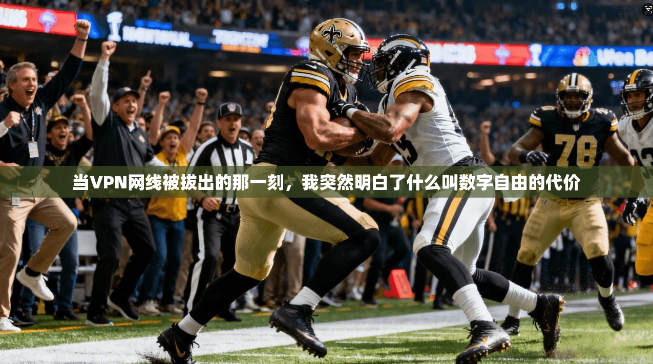 当VPN网线被拔出的那一刻,我突然明白了什么叫数字自由的代价