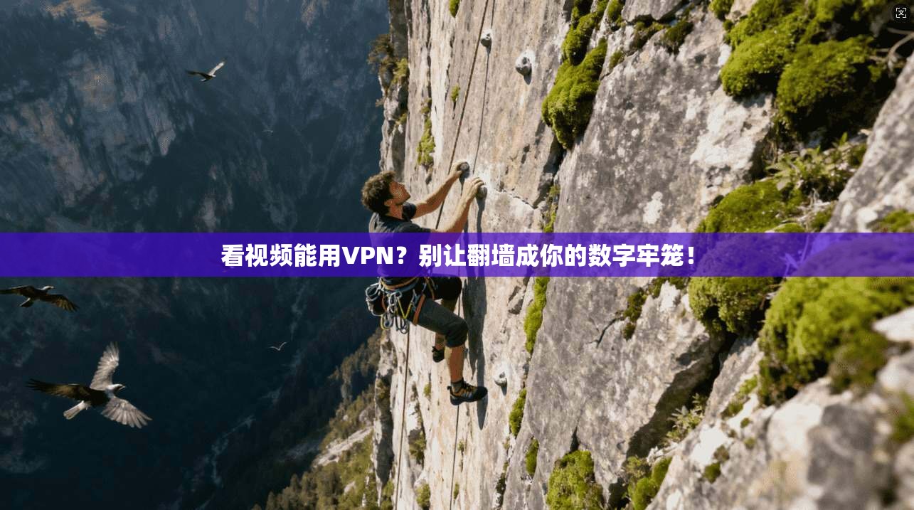 看视频能用VPN？别让翻墙成你的数字牢笼！