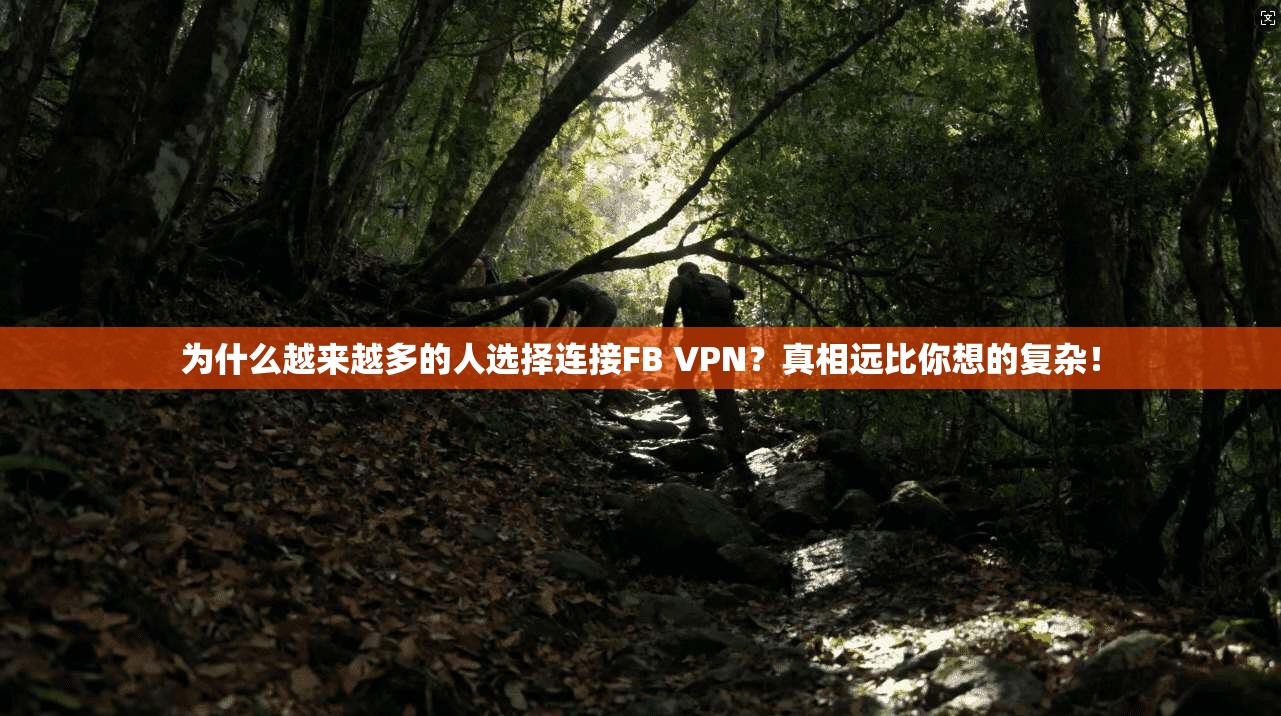 为什么越来越多的人选择连接FB VPN?真相远比你想的复杂!