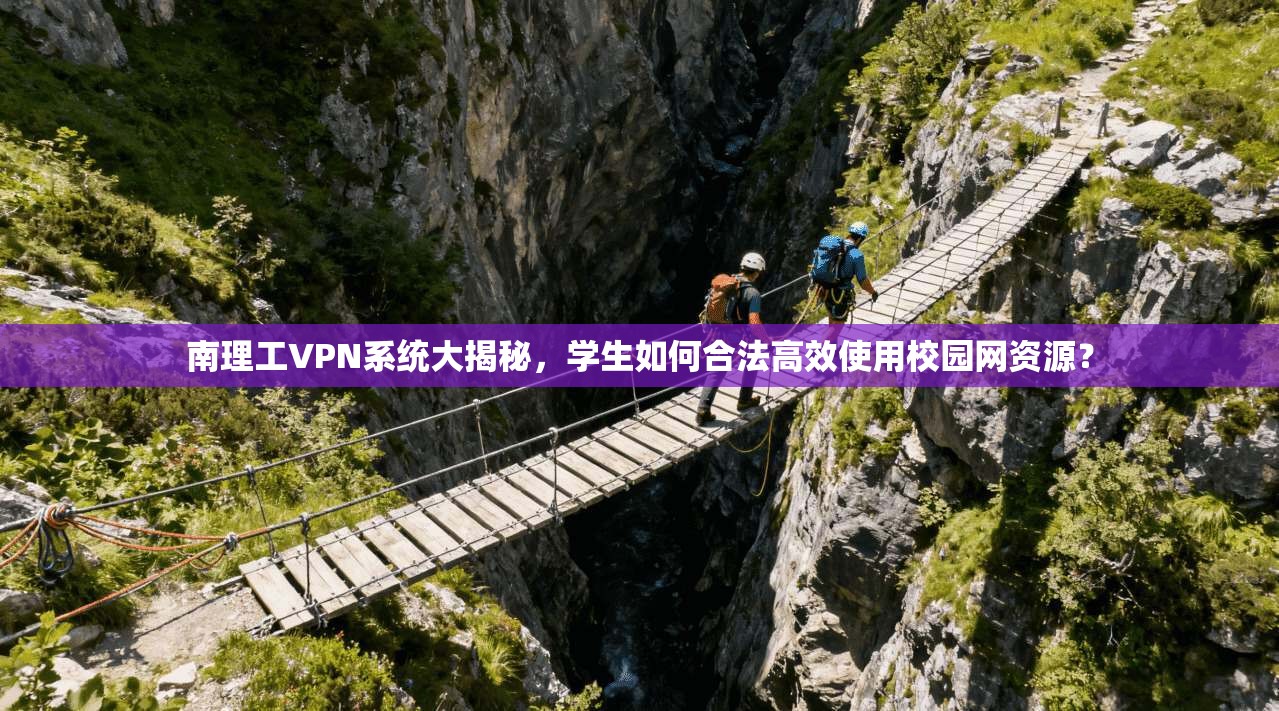 南理工VPN系统大揭秘，学生如何合法高效使用校园网资源？