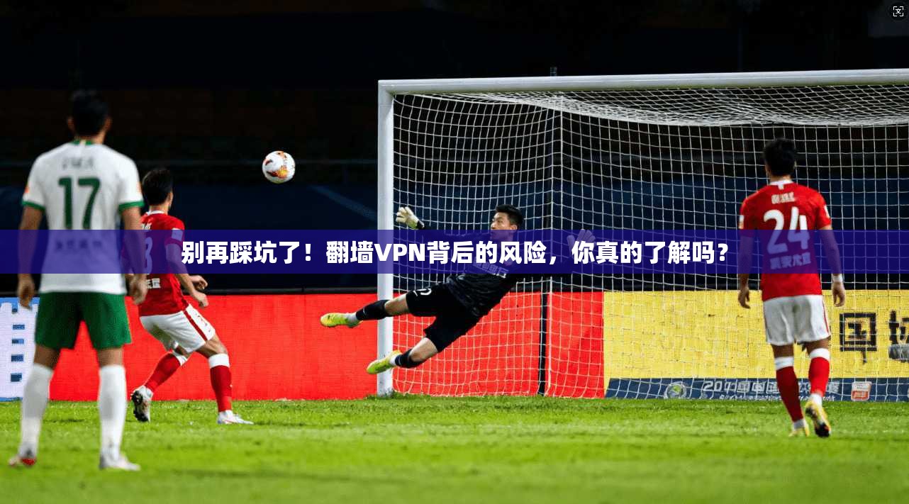 别再踩坑了!翻墙VPN背后的风险,你真的了解吗?