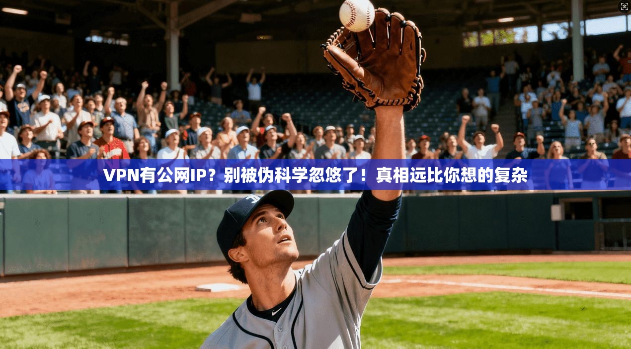 VPN有公网IP？别被伪科学忽悠了！真相远比你想的复杂