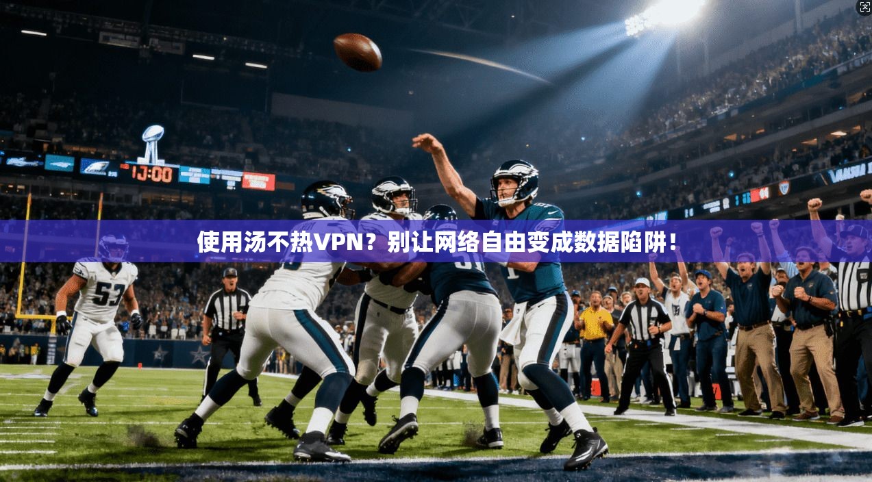 使用汤不热VPN?别让网络自由变成数据陷阱! 使用汤不热VPN?别让网络自由变成数据陷阱!