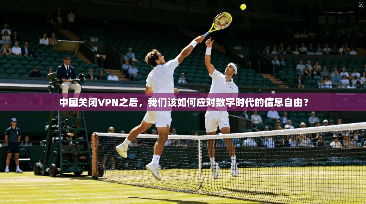 中国关闭VPN之后，我们该如何应对数字时代的信息自由？