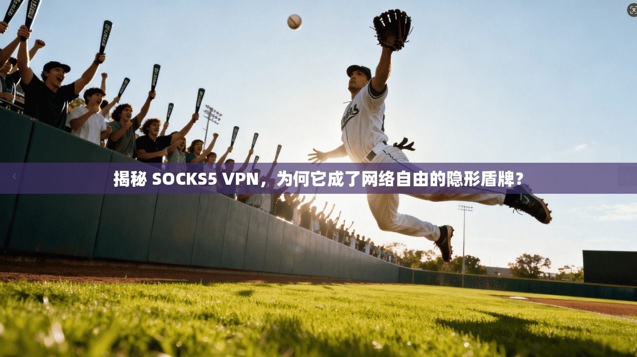 揭秘 SOCKS5 VPN，为何它成了网络自由的隐形盾牌？