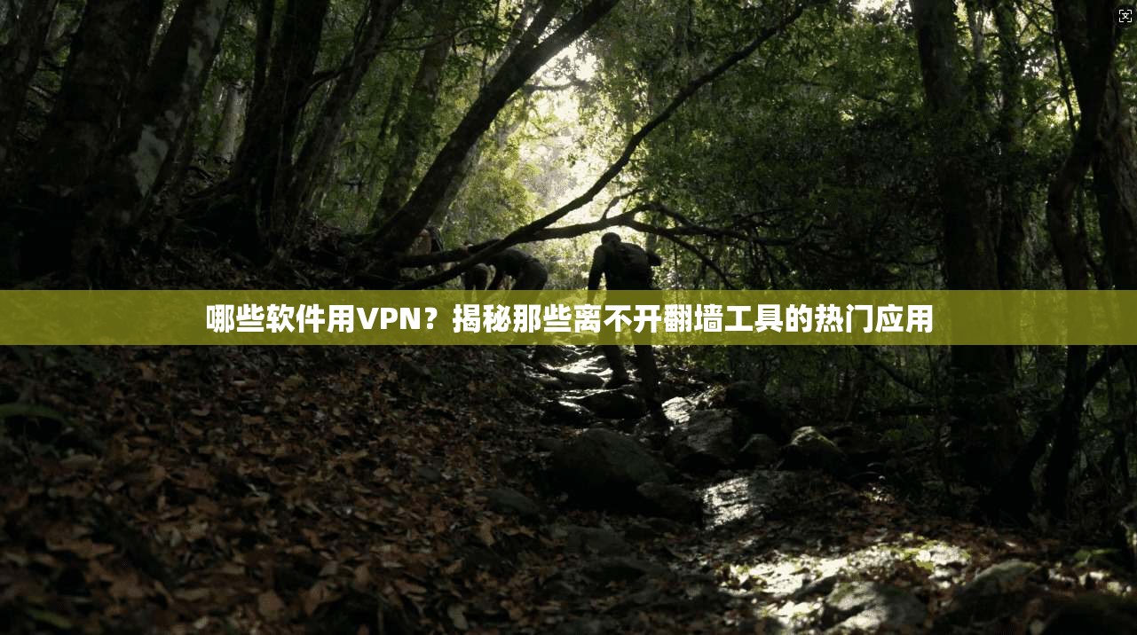 哪些软件用VPN？揭秘那些离不开翻墙工具的热门应用