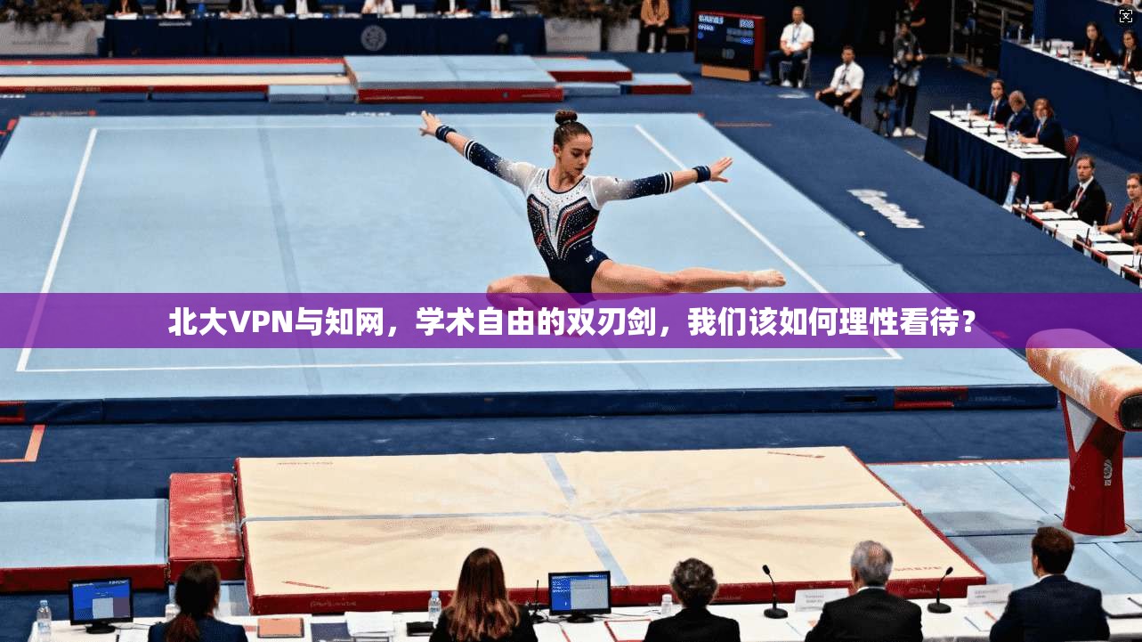 北大VPN与知网，学术自由的双刃剑，我们该如何理性看待？