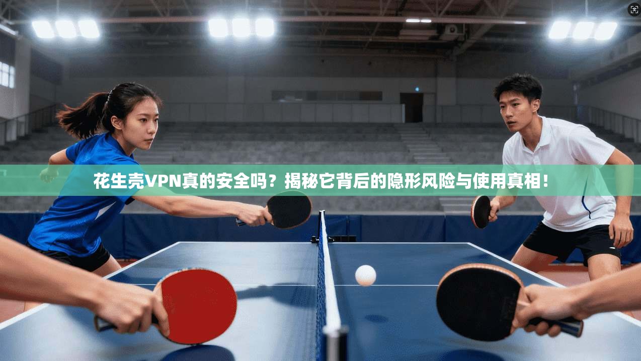 花生壳VPN真的安全吗?揭秘它背后的隐形风险与使用真相!