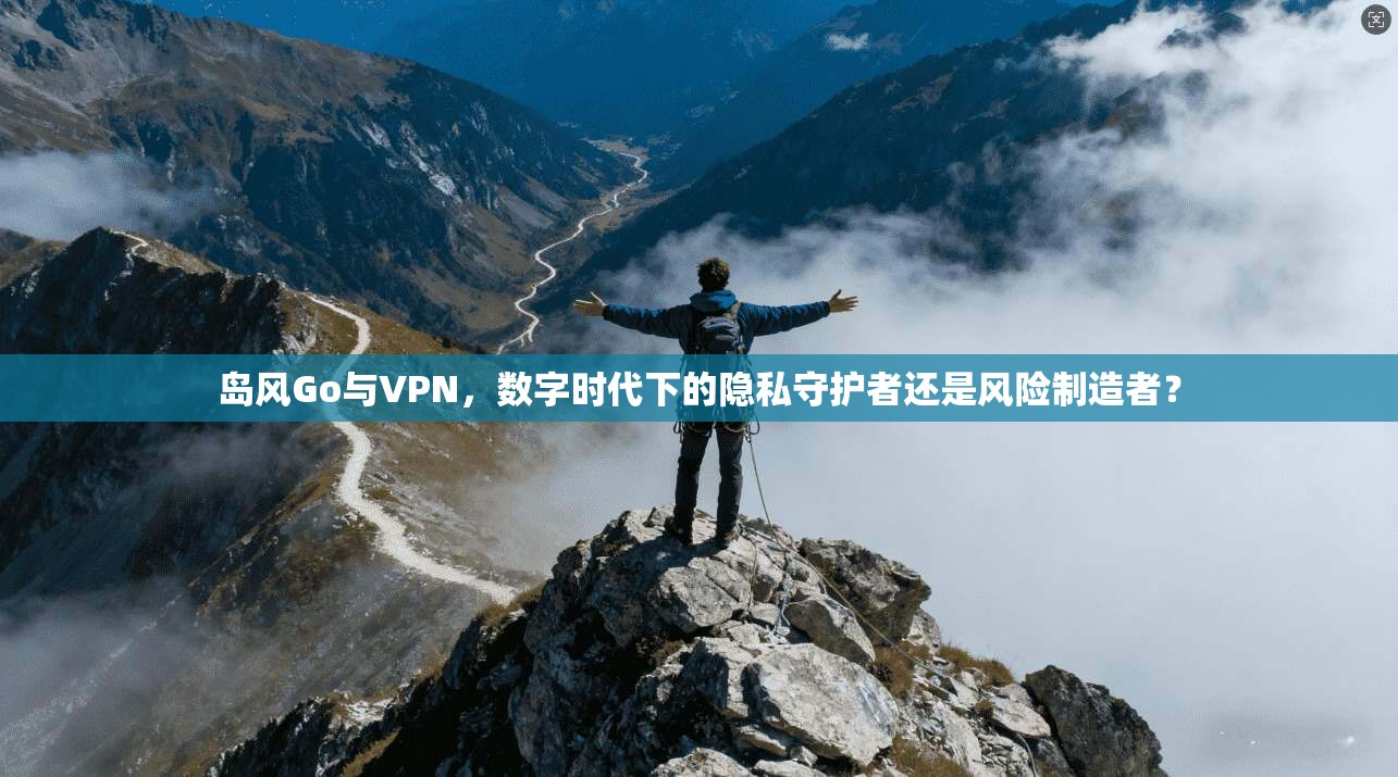 岛风Go与VPN，数字时代下的隐私守护者还是风险制造者？