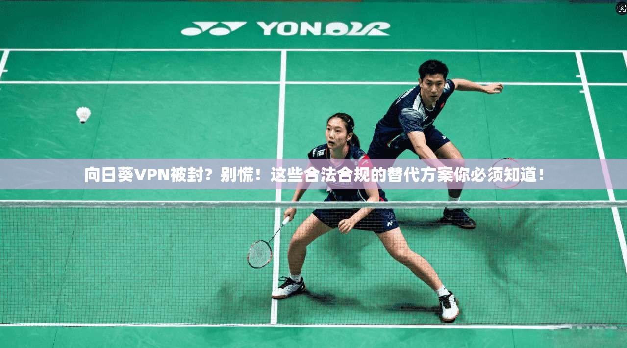 向日葵VPN被封?别慌!这些合法合规的替代方案你必须知道!