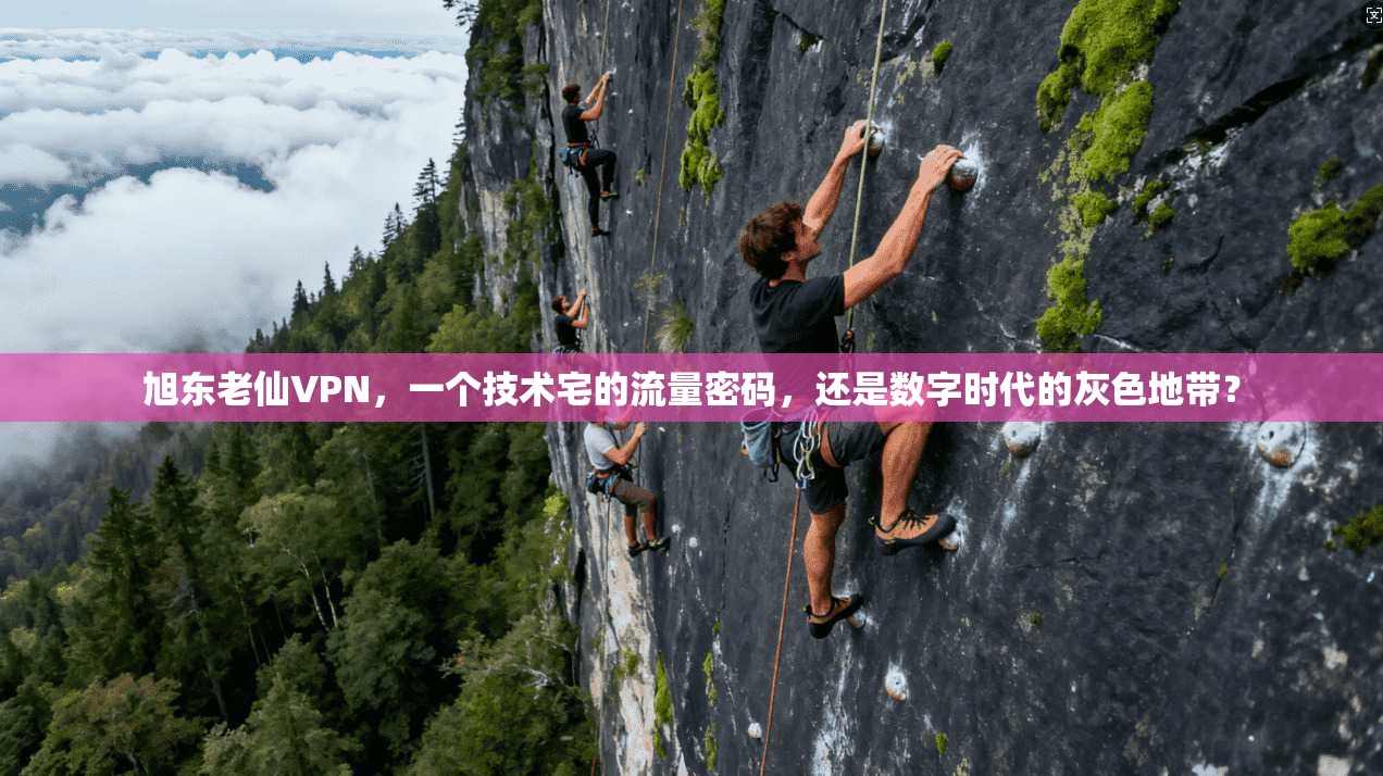 旭东老仙VPN，一个技术宅的流量密码，还是数字时代的灰色地带？