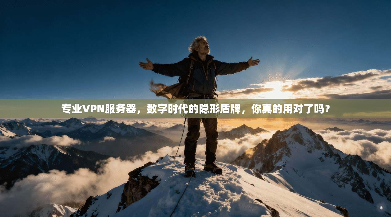 专业VPN服务器，数字时代的隐形盾牌，你真的用对了吗？