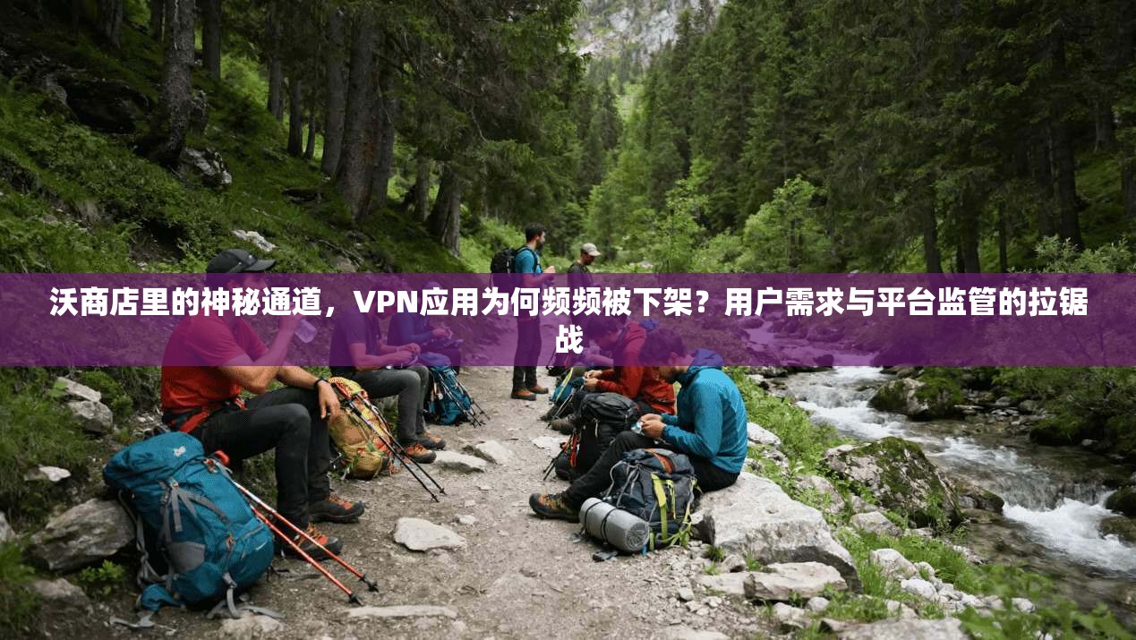 沃商店里的神秘通道,VPN应用为何频频被下架?用户需求与平台监管的拉锯战