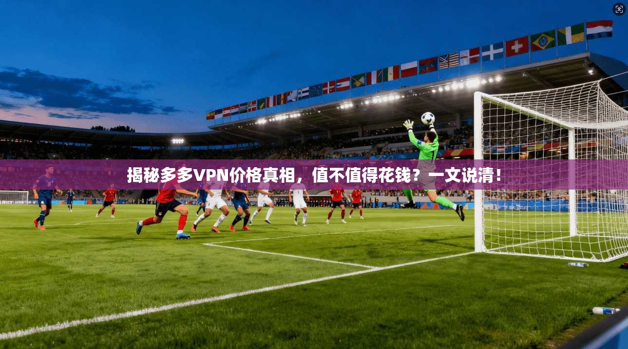 揭秘多多VPN价格真相，值不值得花钱？一文说清！