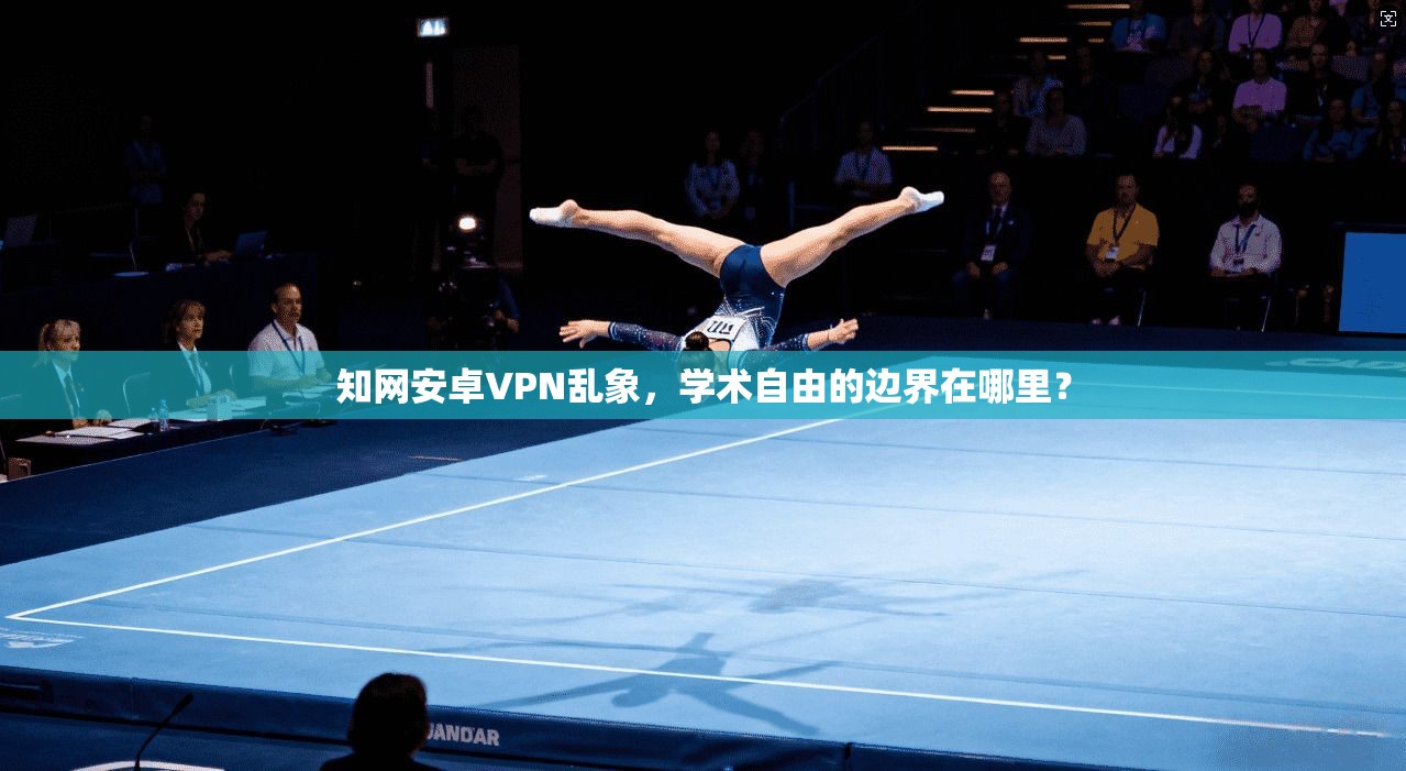 知网安卓VPN乱象，学术自由的边界在哪里？