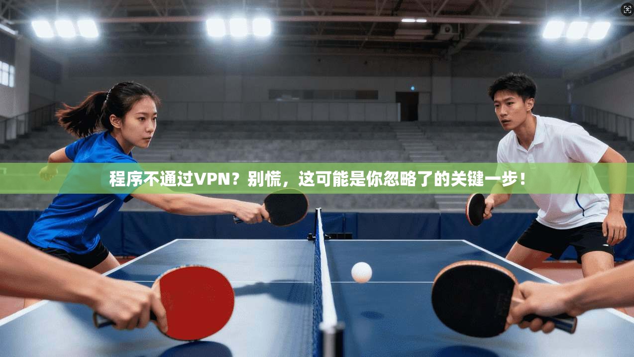 程序不通过VPN?别慌,这可能是你忽略了的关键一步!
