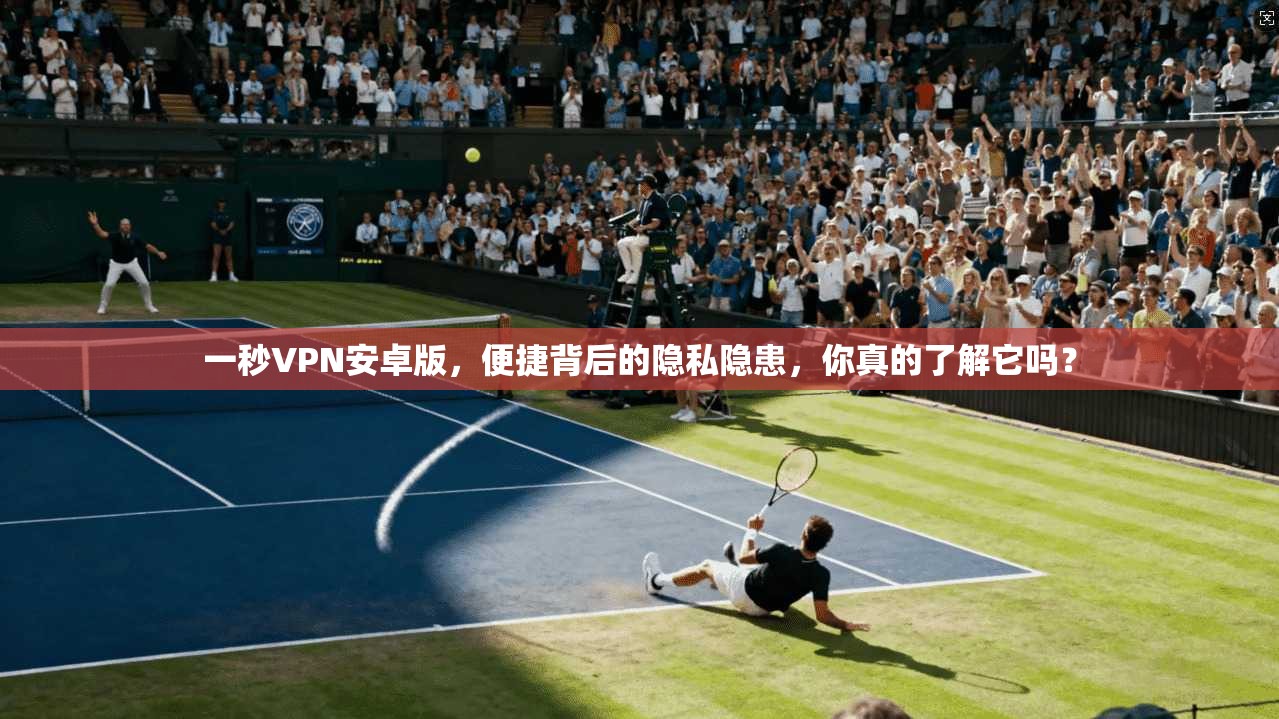 一秒VPN安卓版，便捷背后的隐私隐患，你真的了解它吗？