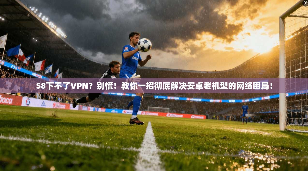 S8下不了VPN?别慌!教你一招彻底解决安卓老机型的网络困局! S8下不了VPN?别慌!教你一招彻底解决安卓老机型的网络困局!