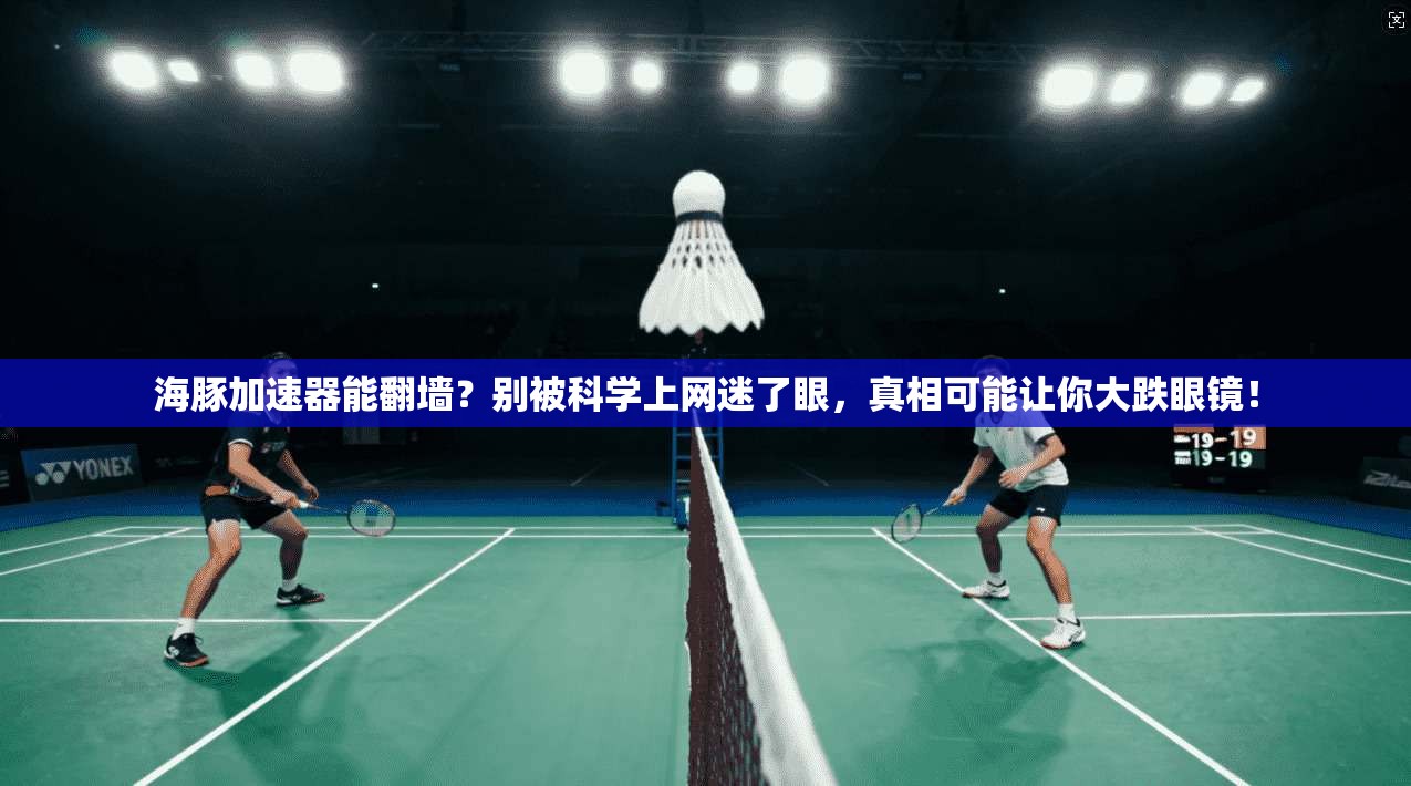 海豚加速器能翻墙？别被科学上网迷了眼，真相可能让你大跌眼镜！